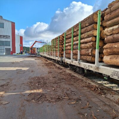 526050392_733590956098689_2219094355554925492_n 526050392_733590956098689_2219094355554925492_n