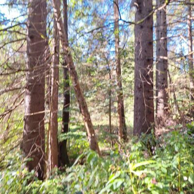 558925082_795079849949799_3821246638747125963_n 558925082_795079849949799_3821246638747125963_n