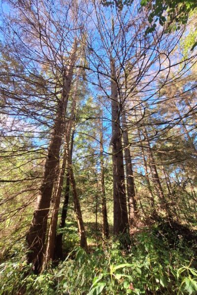 559100862_795079769949807_5861019604896667142_n 559100862_795079769949807_5861019604896667142_n