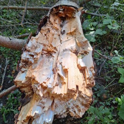 560627098_795079813283136_6628233065545419501_n 560627098_795079813283136_6628233065545419501_n